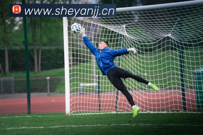 开云app在线入口APP 封面图